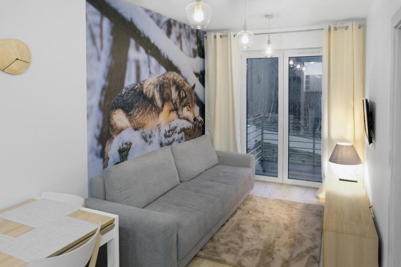 Apartament Szary Wilk Świeradów-Zdrój المظهر الخارجي الصورة