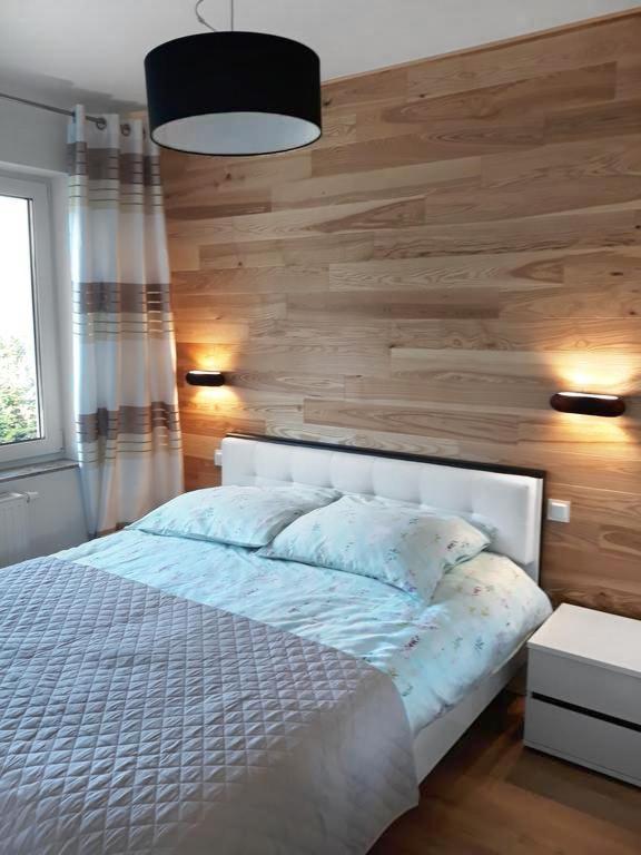 Apartament Szary Wilk Świeradów-Zdrój المظهر الخارجي الصورة