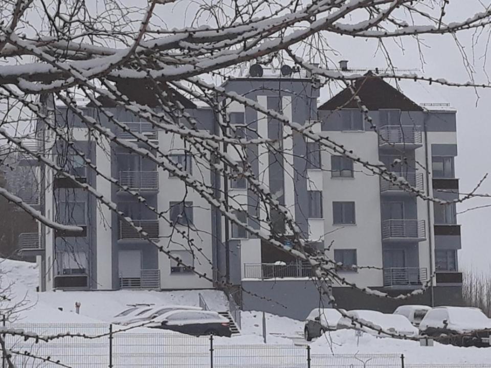Apartament Szary Wilk Świeradów-Zdrój المظهر الخارجي الصورة